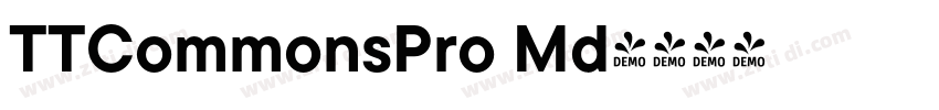 TTCommonsPro Md字体转换